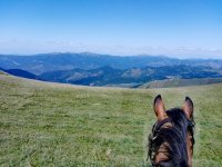 Widok na góry z perspektywy grzbietu konia